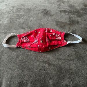 Reversible Handmade Nebraska Face Mask​
